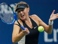 九游-莎拉波娃遭遇十二连败，澳大利亚队教练面临压力！的简单介绍