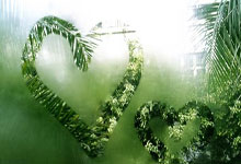 九游体育-包含里程碑夜！克里夫兰骑士复出首秀；美洲杯赛前刷纪录；底气十足；临场指挥获称赞的词条