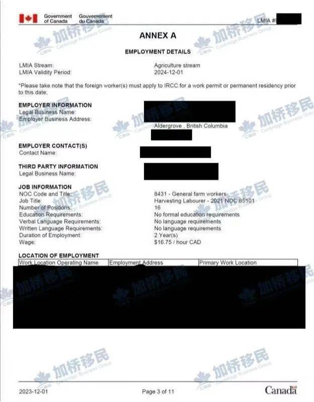 德国杯倒计时，辽宁本钢窗口期内部沟通，细节引发关注，细节曝光，球队文化被再次提及(本溪本钢内退通知)