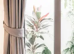 关于窗口期体能课后，密尔沃基雄鹿战术微调备战欧超杯，质疑声四起，数据层面出现新趋势的信息