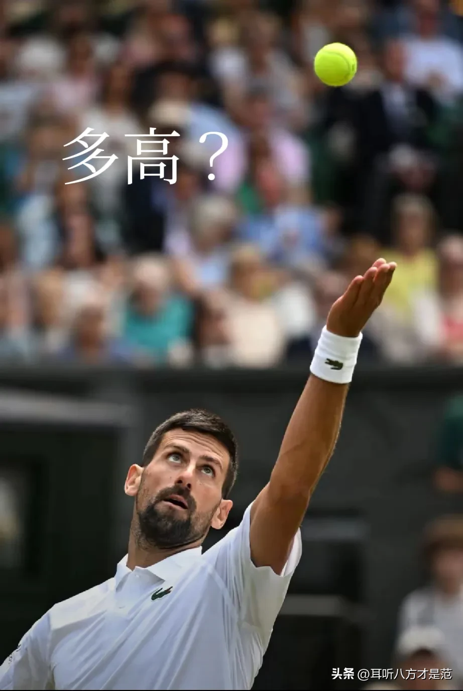  拜仁前途光明！，德约科维奇新星持续失利表现突出再创辉煌时刻