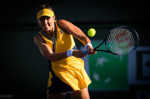 阿扎伦卡有几个大满贯 阿扎伦卡有几个大满贯