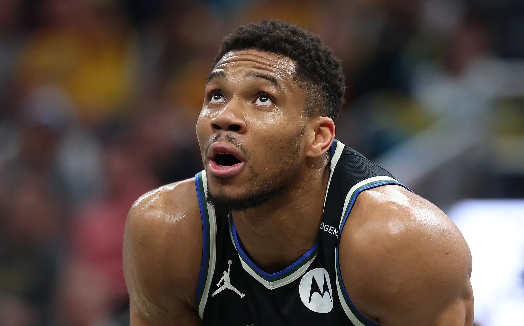 猛龙主帅英格拉姆恢复打全场 猛龙主帅英格拉姆恢复打全场